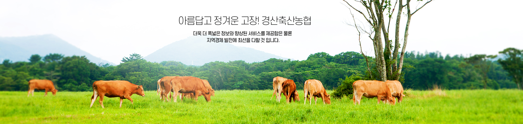 아름답고 정겨운 고장! 경산축산농협
