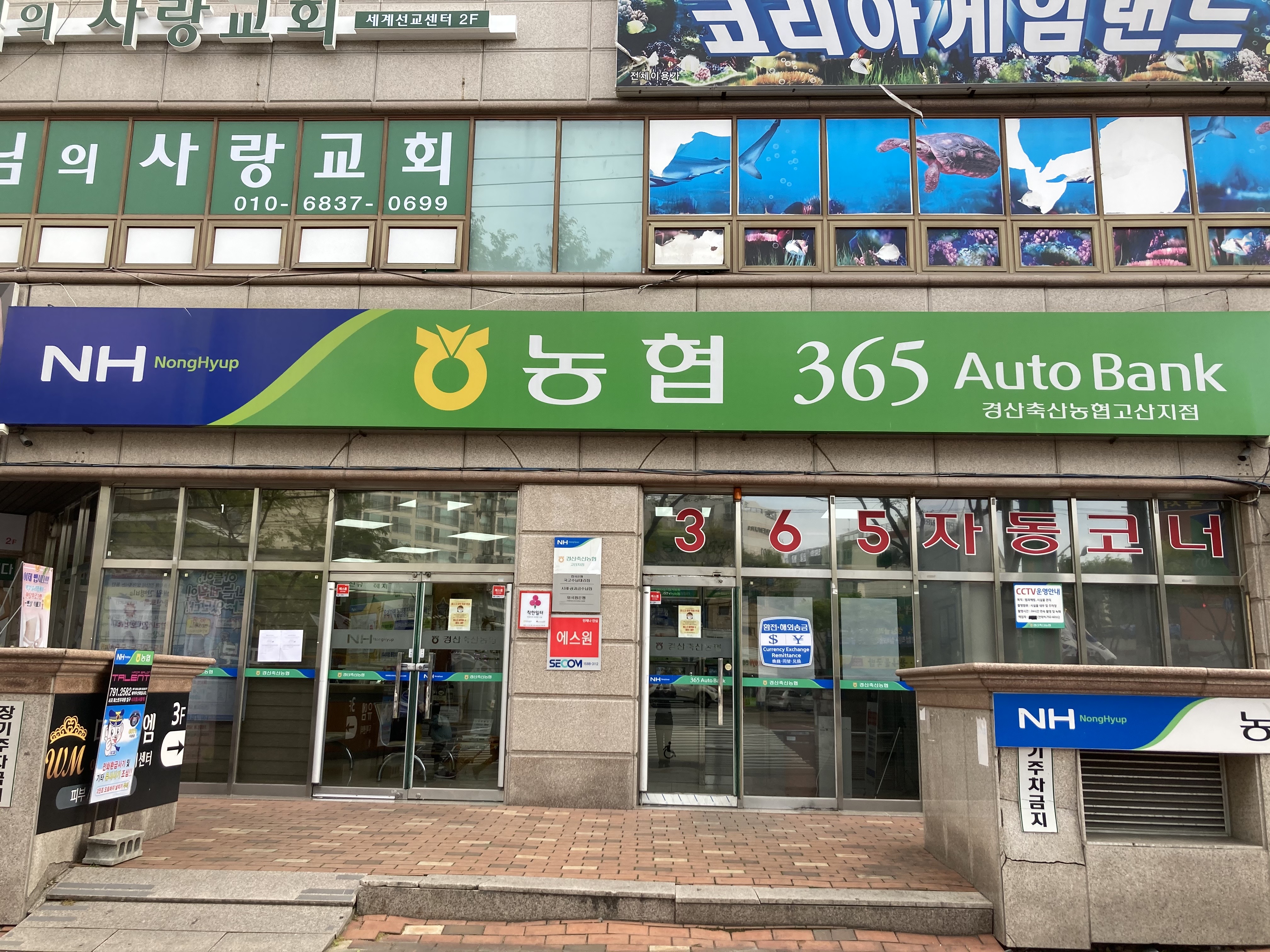 고산지점